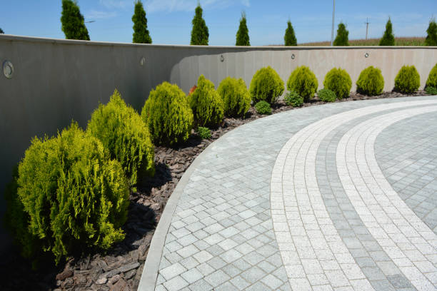 Best Cobblestone Driveway Pavers  in Black River Falls, WI